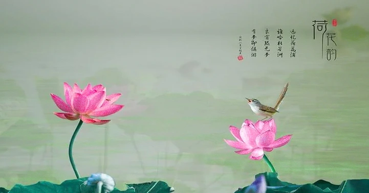 30句日常正能量励志话：眼里有光，心中有力量